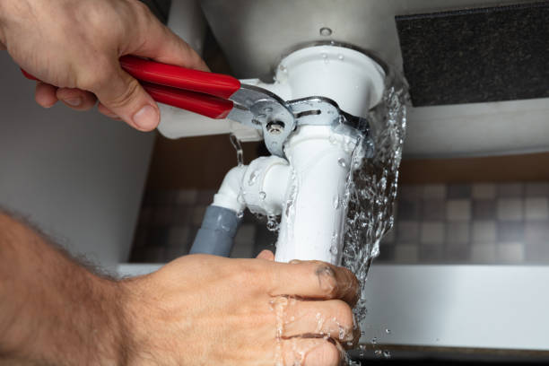 Best Fire Damage Restoration  in Wheeling, WV