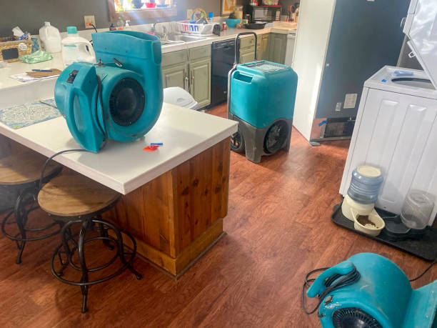 Best Water damage contractors near me  in Wheeling, WV