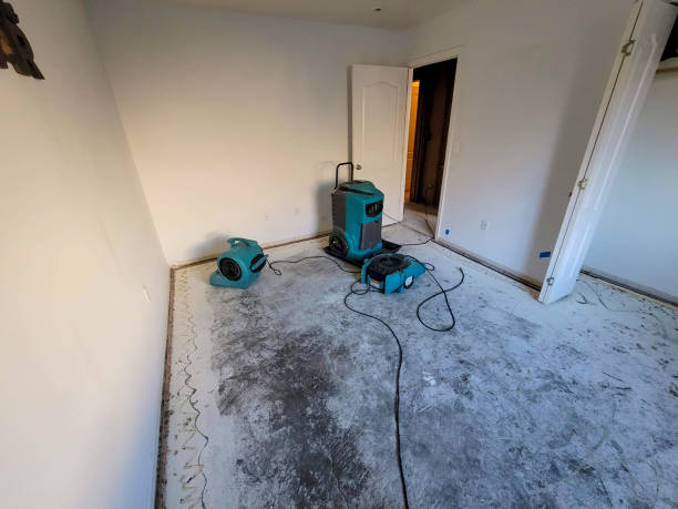 Best Emergency water damage restoration  in Wheeling, WV