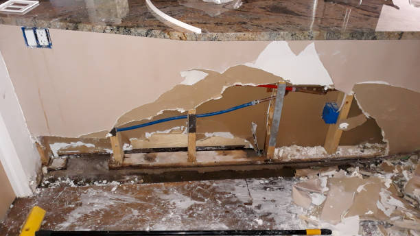 Best Flood damage cleanup  in Wheeling, WV