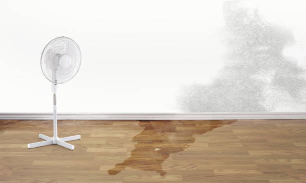 Best Water damage restoration near me  in Wheeling, WV
