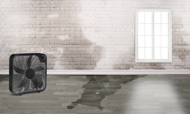 Water damage restoration experts in WV
