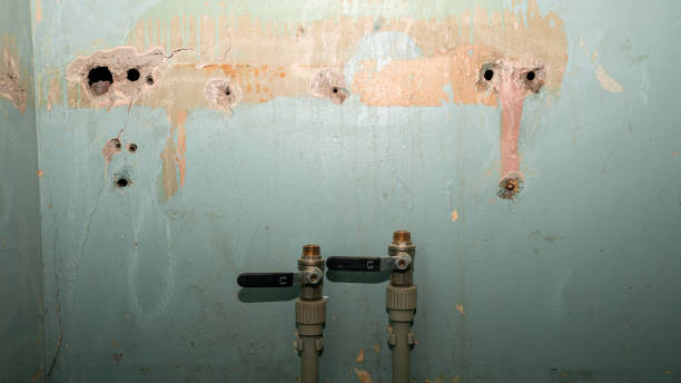 Best 24-hour water damage restoration  in Wheeling, WV