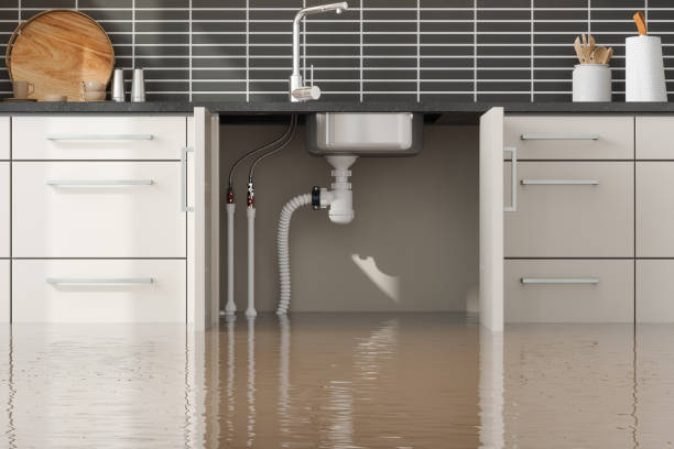 Best Professional water damage repair  in Wheeling, WV