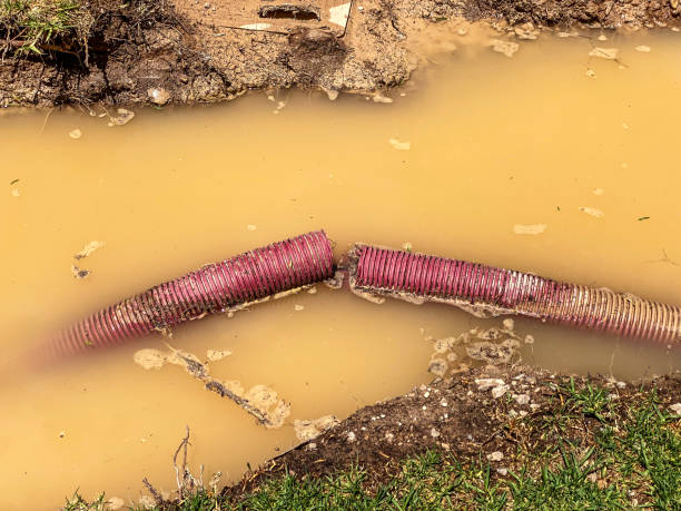 Best Water damage cleanup near me  in Wheeling, WV