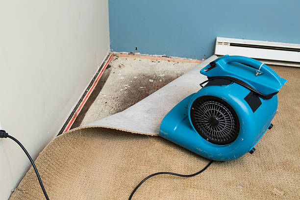 Best Flooded house restoration  in Wheeling, WV